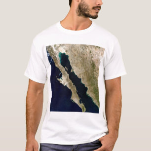 カリフォルニア湾 Tシャツ