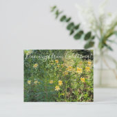 カリフォルニア産のブラームズ:モンキーフラワー ポストカード (スタンド正面)