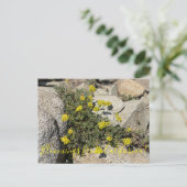 カリフォルニア産のブラームズ：硫黄そば ポストカード (スタンド正面)