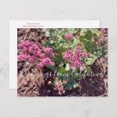 カリフォルニア産のブルーミングス:レッドフラワーソバ ポストカード (正面/裏面)