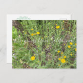 カリフォルニア産の花：テレグラフの花 ポストカード (正面/裏面)