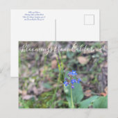 カリフォルニア産の血まみれ：パシフィックハウンドの舌 ポストカード (正面/裏面)