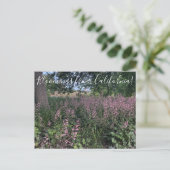 カリフォルニア産の血まみれHeuchera「Rosada」 ポストカード (スタンド正面)