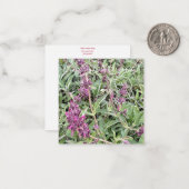 カリフォルニア産のBloomings: Hummingbird Sage ノートカード (正面/裏面インサイチュ)