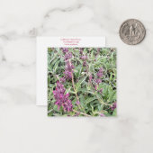 カリフォルニア産のBloomings: Hummingbird Sage ノートカード (正面/裏面インサイチュ)