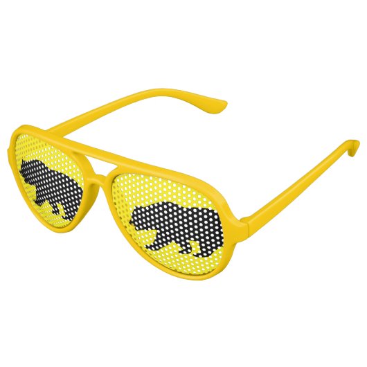 カリフォルニア産グリズリーベアパーティーサングラス アビエーターサングラス (アングル)