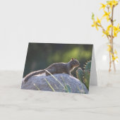 カリフォルニア産ジリス カード (黄色い花)