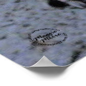 カリフォルニア産ジリス ポスター (角)