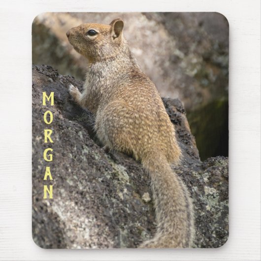 カリフォルニア産ジリス マウスパッド (正面)