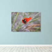 カリフォルニア産ポピーで眠っているのまわりに キャンバスプリント (インサイチュ (ウッドフロア))