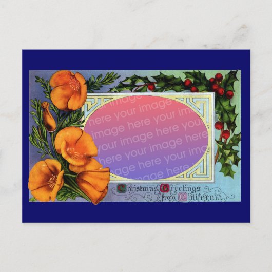 カリフォルニア産ポピー・ヴィンテージ・クリスマスフレーム シーズンポストカード (正面)