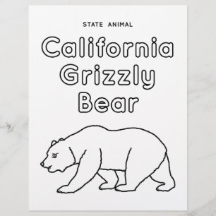 カリフォルニア産州の白熊 チラシ
