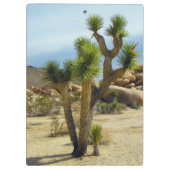 カリフォルニア砂漠の多肉岩と空澄ん果 クリップボード (裏面)