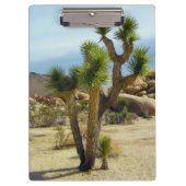 カリフォルニア砂漠の多肉岩と空澄ん果 クリップボード (正面)