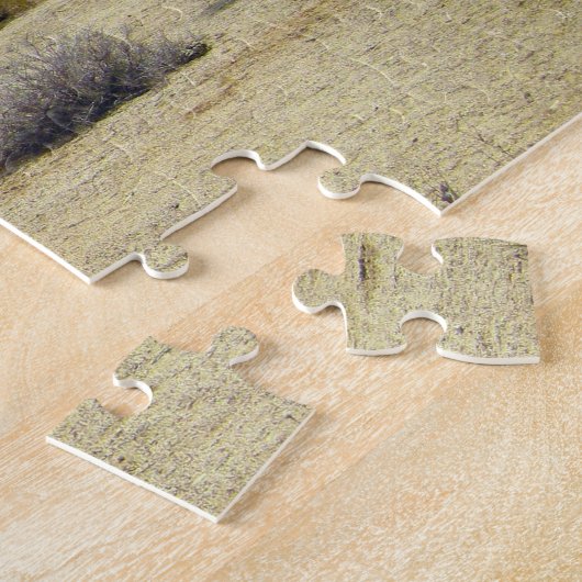 カリフォルニア砂漠の多肉岩と空澄ん果 ジグソーパズル (側面)