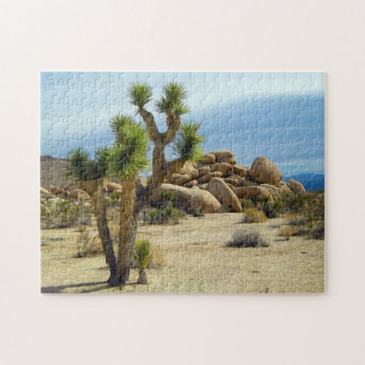 カリフォルニア砂漠の多肉岩と空澄ん果 ジグソーパズル (横)