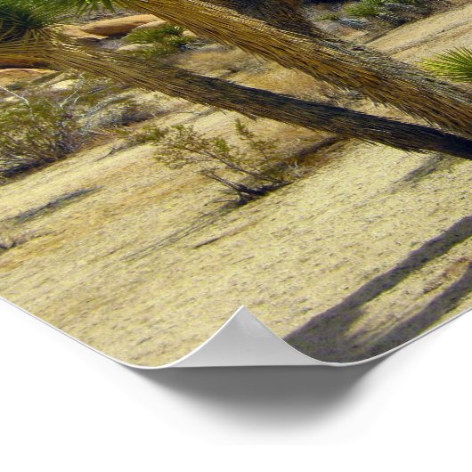 カリフォルニア砂漠の多肉岩と空澄ん果 ポスター (角)