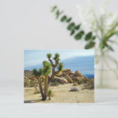 カリフォルニア砂漠の多肉岩と空澄ん果 ポストカード (スタンド正面)