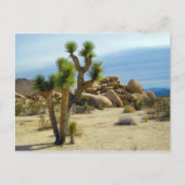 カリフォルニア砂漠の多肉岩と空澄ん果 ポストカード (正面)