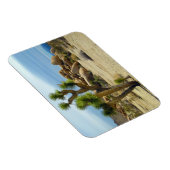 カリフォルニア砂漠の多肉岩と空澄ん果 マグネット (右側)