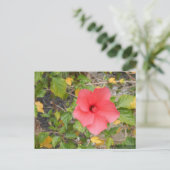 カリフォルニア砂漠の花#1 ポストカード (スタンド正面)