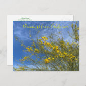 カリフォルニア砂漠ミュージアムパロヴェルデからのブラームズ ポストカード (正面/裏面)