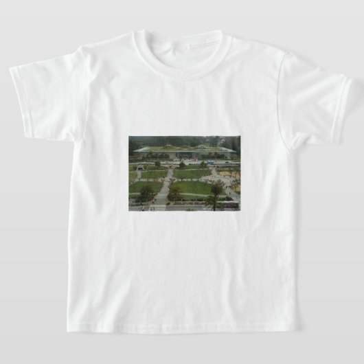 カリフォルニア科学アカデミーTシャツ Tシャツ (レイダウン)