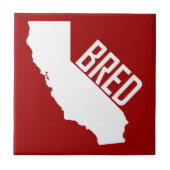 カリフォルニア育ち タイル (正面)