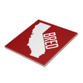 カリフォルニア育ち タイル (側面)