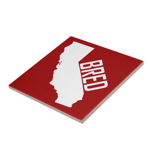 カリフォルニア育ち タイル (側面)