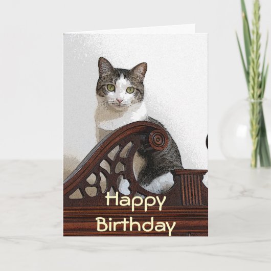 カリフォルニア誕生日の子猫 カード (正面)