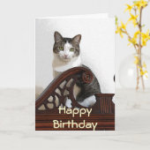 カリフォルニア誕生日の子猫 カード (黄色い花)