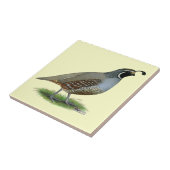 カリフォルニア谷のウズラ タイル (側面)