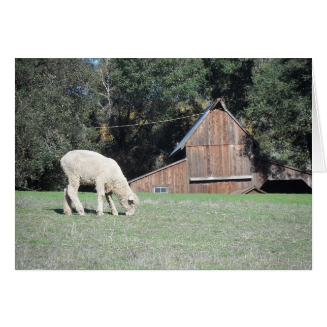 カリフォルニア農場 (正面横)