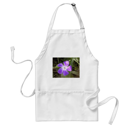 カリフォルニア野生の花 スタンダードエプロン (正面)