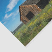 カリフォルニア風化茶色の納屋と黄色の花 薄葉紙 (詳細)