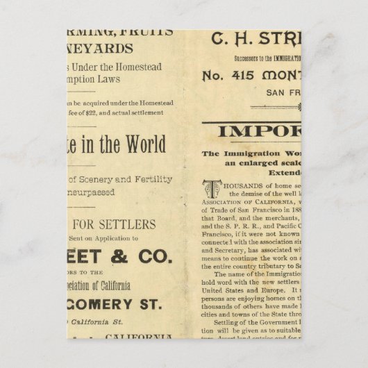 カリフォルニア2 ポストカード (正面)