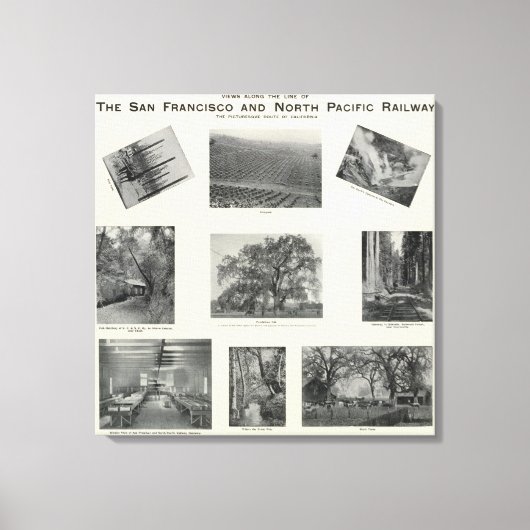 カリフォルニア4 キャンバスプリント (正面)