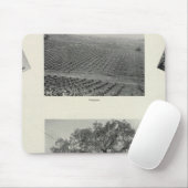 カリフォルニア4 マウスパッド (マウス)