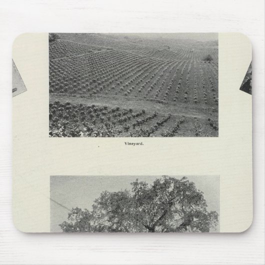 カリフォルニア4 マウスパッド (正面)