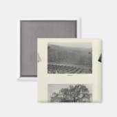 カリフォルニア4 マグネット (正面/裏面)