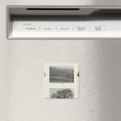 カリフォルニア4 マグネット (インサイチュ (食洗機))