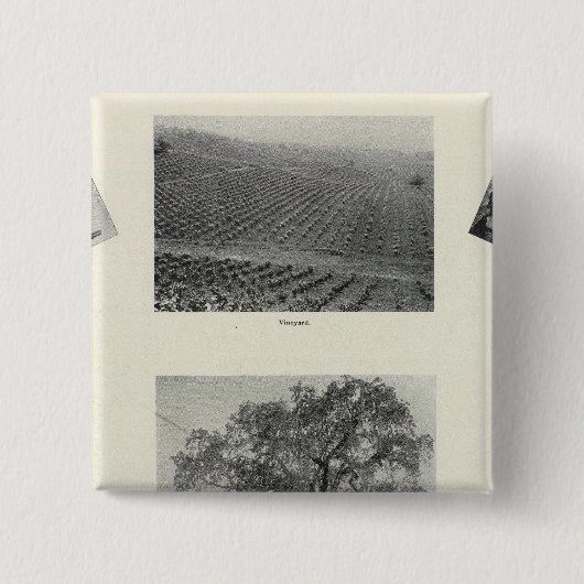 カリフォルニア4 缶バッジ (正面)