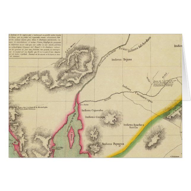 カリフォルニア53 (正面横)