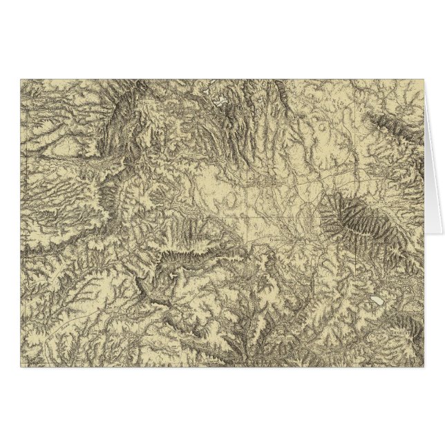 カリフォルニア6 (正面横)