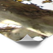 カリフォルニア66 ポスター (角)