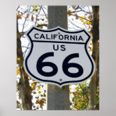 カリフォルニア66 ポスター (正面)