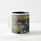 カリフォルニア、アンザ-ボレゴ砂漠SP、砂 ツートーンマグカップ (正面左)