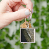 カリフォルニア キーホルダー (手)