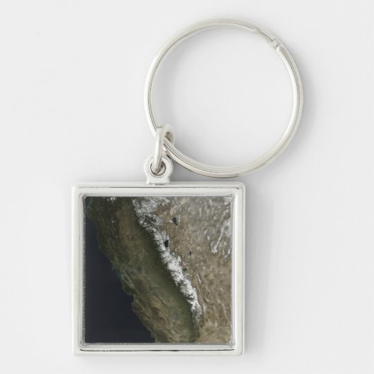 カリフォルニア キーホルダー (正面)